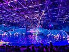 -海合安青岛极地海洋公园