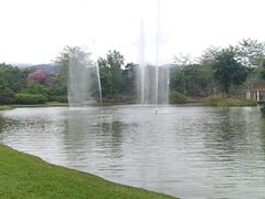 -中国科学院西双版纳热带植物园