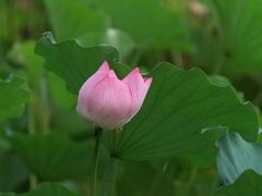 -陶然亭公园