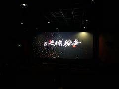 -首都电影院(金融街店 杜比全景声)