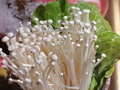 -九鼎轩脆毛肚火锅(三钢里店)