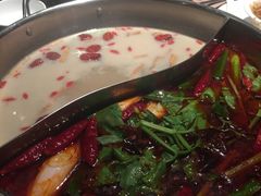 -大红袍火锅料理(尖沙咀店)