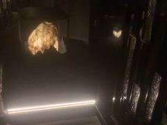 -泰之源足浴会所(玉环店)