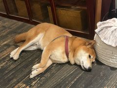 -三目仓咖啡(贤南路店)