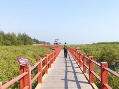 -北海金海湾红树林生态旅游区