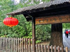 -红楼梦邮局