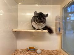 -龙猫仔乐园(惠福东路店)