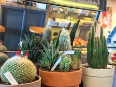 -ommo cafe(半岛城邦店)
