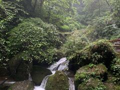 -青城山