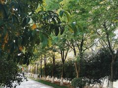 -幕燕滨江·长江观音景区