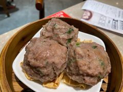 新会陈皮牛肉球-燊荣记(北京路店)
