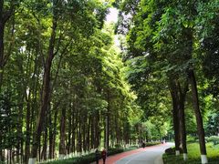 -龙头寺公园