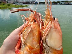 -七的湖·江南蟹舫·阳澄湖农家菜(蟹舫苑店)