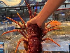 -青蓬蒸汽海鲜·深圳老字号·团建聚会(壹方城店)