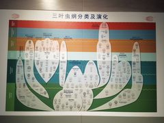 -安徽省地质博物馆