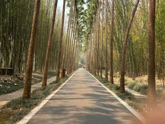 -中国科学院西双版纳热带植物园