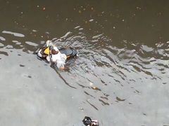 -葛记焖饼(伏牛路店)