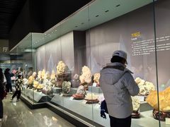 -湖南省地质博物馆