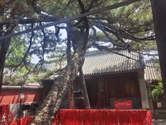 -红螺寺