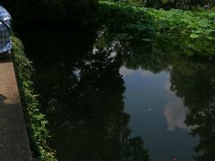 -裕兴记·三虾面(西北街总店)