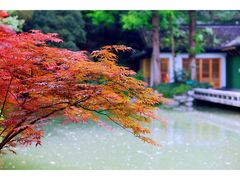 -杭州植物园