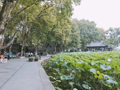 -杭州西湖风景名胜区-北街寻梦