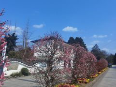 -郫都区农科村景区