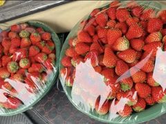 -西郊国际农产品交易中心