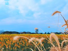 -中国天府农业博览园