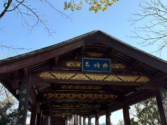 -长广溪湿地公园