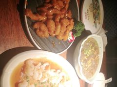 -前海沿·青岛菜(大拇指广场石老人店)