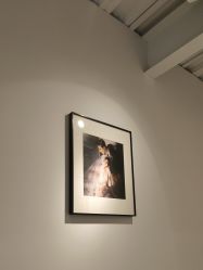 -北遇映画PHOTO GRAPHY STUDIO