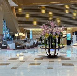 -英芬国际月子中心(岛屿度假月子·洲至奢选香岚店)