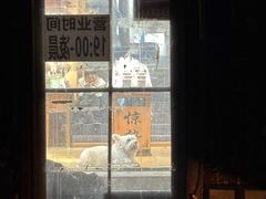 -大冰的小屋