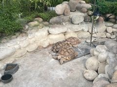 -南宫五洲植物乐园