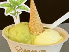 -极拉图·现制冰淇淋(大卫城店)