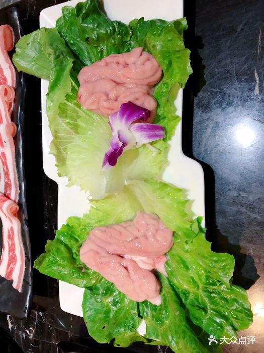 三只耳鱼火锅聪明脑花图片 - 第712张