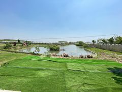 -美家乐农庄·露营·团建(大治路店)