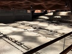 -洛阳市隋唐城遗址植物园