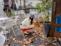 -思南书局·诗歌店