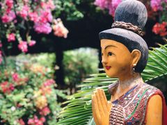 -呀路古热带植物园