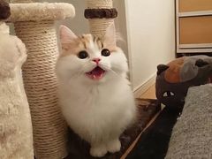 -北京稻香村(京港城生活广场店)