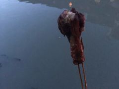 -铜罗阿二鸡腿