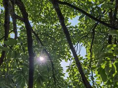 -北京西山国家森林公园