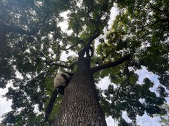 -绵阳人民公园(涪城区)