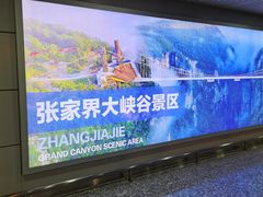 -张家界荷花国际机场
