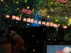 -西涌国际滨海旅游区