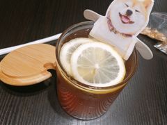 -逗柴咖啡屋·狗咖猫咖宠物桌游