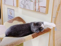 -猫和宫(六道口店)