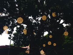 -泰堤坊(淡水体育馆店)